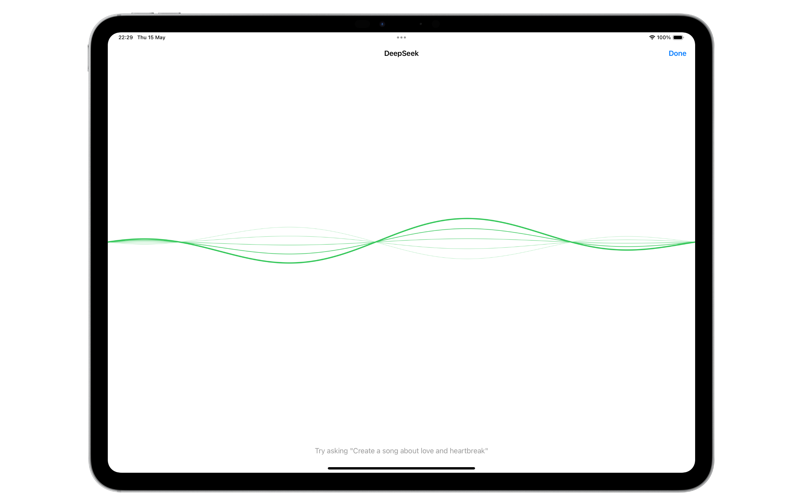 iPad Screenshot 5